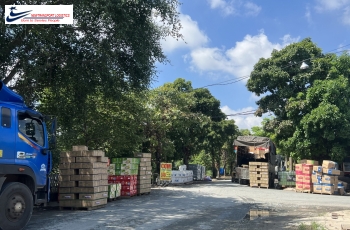 Chành xe đi Gia Lai từ Sài Gòn